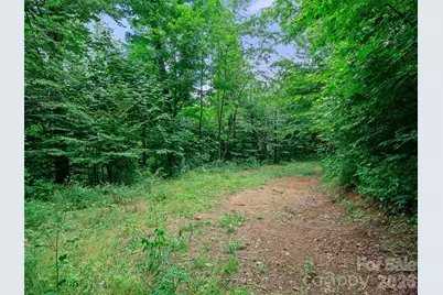 0 Ogle Meadows Road #81, Burnsville, NC 28714 - Photo 16
