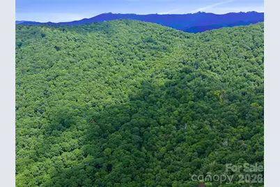 0 Ogle Meadows Road #81, Burnsville, NC 28714 - Photo 8
