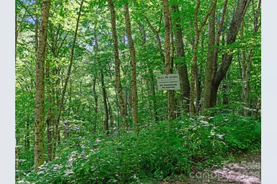 0 Ogle Meadows Road #81, Burnsville, NC 28714 - Photo 36