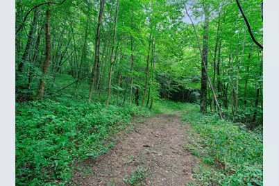 0 Ogle Meadows Road #81, Burnsville, NC 28714 - Photo 18