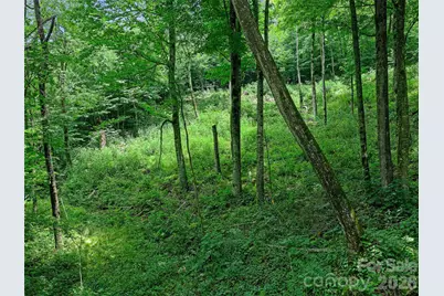 0 Ogle Meadows Road #81, Burnsville, NC 28714 - Photo 26