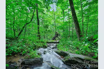 0 Ogle Meadows Road #81, Burnsville, NC 28714 - Photo 6