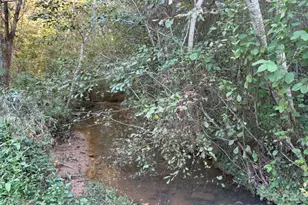 3786 US 70 Hwy E, Marion, NC 28752 - Photo 10