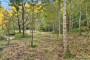 3786 US 70 Hwy E, Marion, NC 28752 - Photo 14