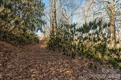 00 Wildflower Cove Road #18, Swannanoa, NC 28778 - Photo 36