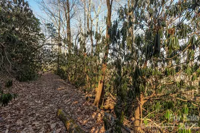 00 Wildflower Cove Road #18, Swannanoa, NC 28778 - Photo 34