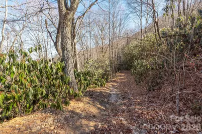 00 Wildflower Cove Road #18, Swannanoa, NC 28778 - Photo 28