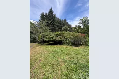 518 Nicholson Cove Road, Cullowhee, NC 28723 - Photo 4