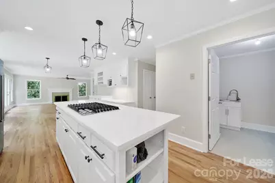 10712 Hanging Moss Trail, Charlotte, NC 28227 - Photo 12