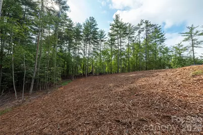 1156 Campbells Trace, Nebo, NC 28761 - Photo 34