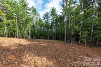 1156 Campbells Trace, Nebo, NC 28761 - Photo 32