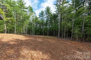 1156 Campbells Trce, Nebo, NC 28761 - Photo 32