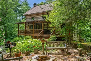69 Dogwood Branch Rd, Zirconia, NC 28790 - Photo 2