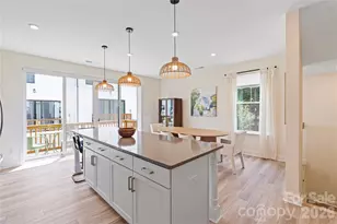 2414 Magnolia Blossom Wy, Charlotte, NC 28211 - Photo 14