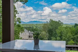 143 Gracie Ln, Mills River, NC 28759 - Photo 10