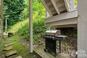 100 Moonshineholler Dr, Maggie Valley, NC 28751 - Photo 40