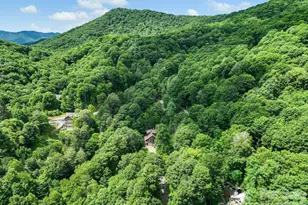 100 Moonshineholler Dr, Maggie Valley, NC 28751 - Photo 48