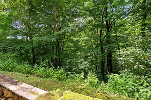 100 Moonshineholler Dr, Maggie Valley, NC 28751 - Photo 44