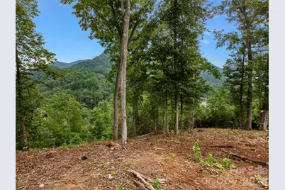 213 Three Rivers Drive, Hendersonville, NC 28792 - Photo 12