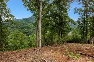 213 Three Rivers Dr, Hendersonville, NC 28792 - Photo 12