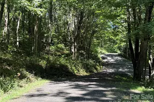 7 Wolfsbane Trail, Todd, NC 28684 - Photo 1