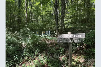 7 Wolfsbane Trail #7, Todd, NC 28684 - Photo 6