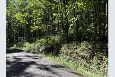 7 Wolfsbane Trail #7, Todd, NC 28684 - Photo 26