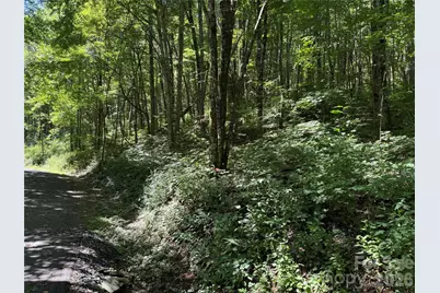 7 Wolfsbane Trail #7, Todd, NC 28684 - Photo 24