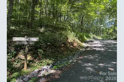 7 Wolfsbane Trail #7, Todd, NC 28684 - Photo 22