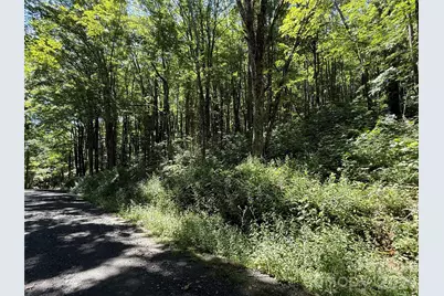 7 Wolfsbane Trail #7, Todd, NC 28684 - Photo 4