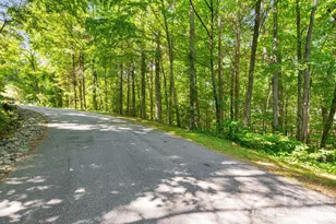 0 Stonebridge Dr, Hendersonville, NC 28739 - Photo 1