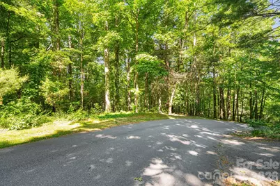 0 Stonebridge Drive #6, Hendersonville, NC 28739 - Photo 2