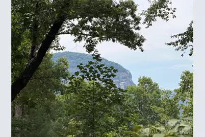 250 Luther Burbank Drive, Lake Lure, NC 28746 - Photo 2