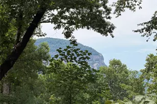250 Luther Burbank Dr, Lake Lure, NC 28746 - Photo 2