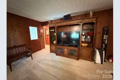 250 Luther Burbank Drive, Lake Lure, NC 28746 - Photo 22