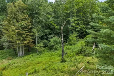Tbd Bethel Road, Sugar Grove, NC 28679 - Photo 10