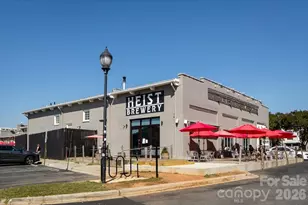 729 Charles Ave, Charlotte, NC 28205 - Photo 44