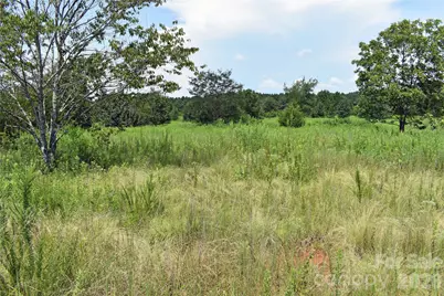 60 Malden Court, Crouse, NC 28033 - Photo 2