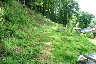 870 Bairds Creek Rd, Vilas, NC 28692 - Photo 1