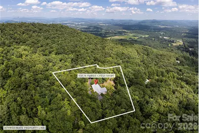 131 N Forge Crest Drive, Mills River, NC 28759 - Photo 38