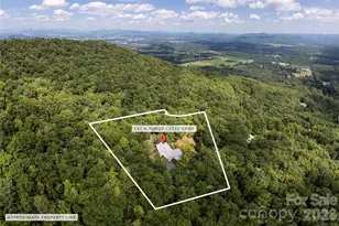 131 N Forge Crest Dr, Mills River, NC 28759 - Photo 38