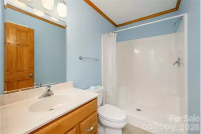 131 N Forge Crest Drive, Mills River, NC 28759 - Photo 24