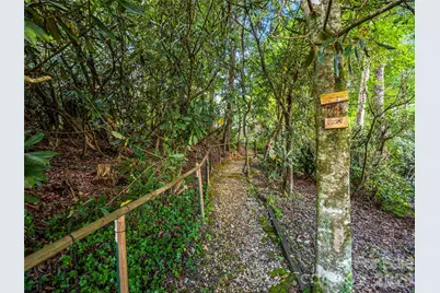 252 Middlemount Road, Pisgah Forest, NC 28768 - Photo 40