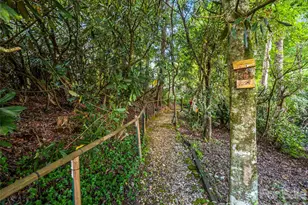 252 Middlemount Rd, Pisgah Forest, NC 28768 - Photo 40