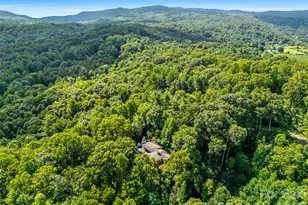 252 Middlemount Rd, Pisgah Forest, NC 28768 - Photo 46