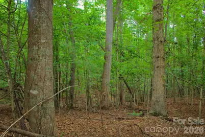 0 Creekside Circle #110, Rutherfordton, NC 28139 - Photo 4
