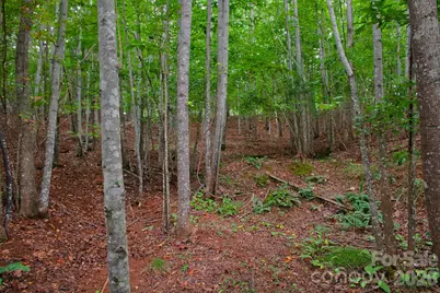 0 Creekside Circle #110, Rutherfordton, NC 28139 - Photo 1