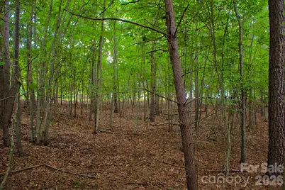 0 Creekside Circle #110, Rutherfordton, NC 28139 - Photo 2
