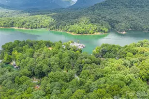 239 Havnaers Point, Lake Lure, NC 28746 - Photo 44