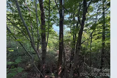 0 Holland Drive #24, Columbus, NC 28722 - Photo 36